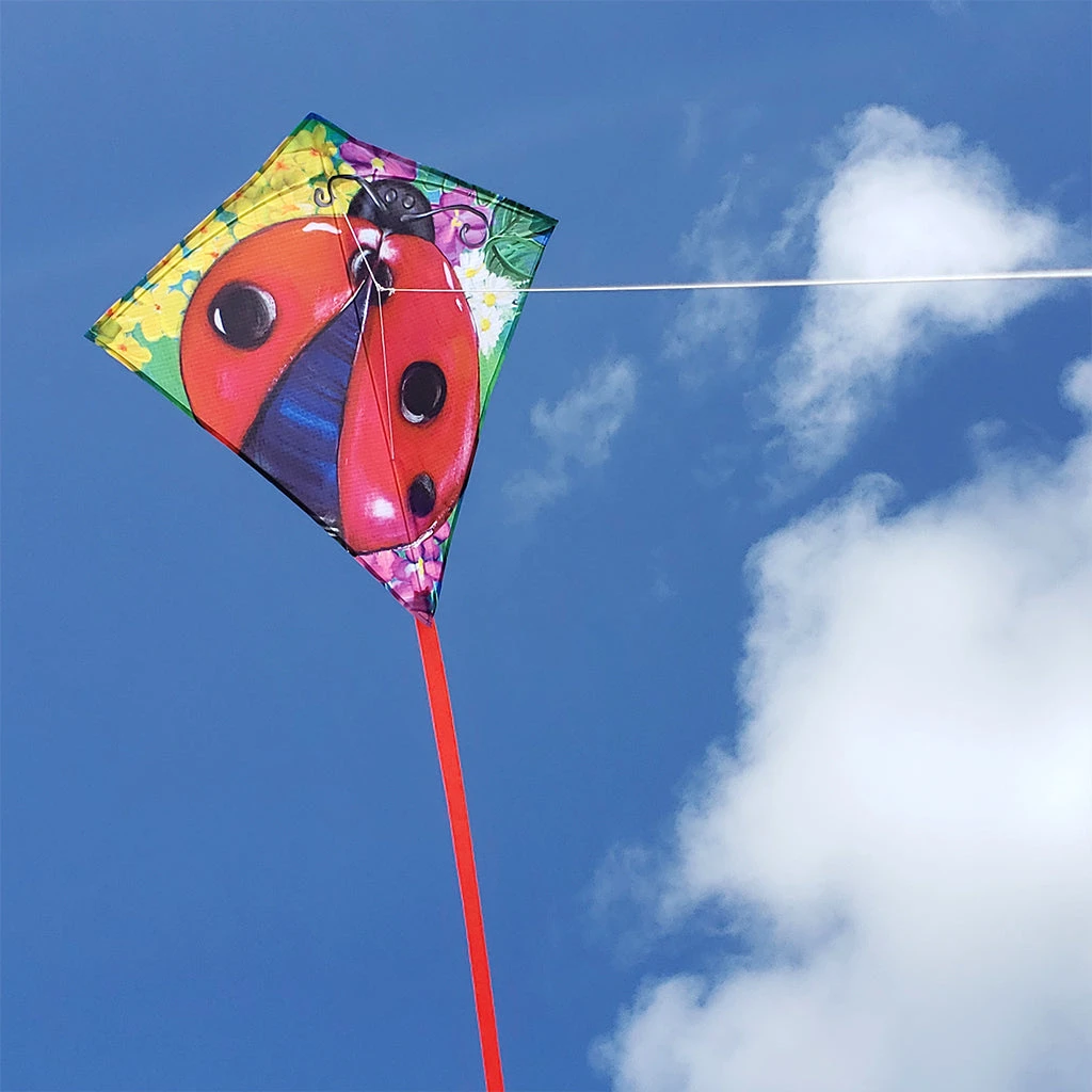 25 In. Diamond Kite - Ladybug 4 25 In. Diamond Kite - Ladybug - Image 2
