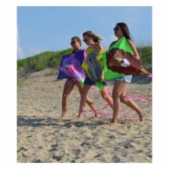 30 In. Diamond Kite - Lion 10 30 In. Diamond Kite - Lion -Kite And Flag Shop 15275 3