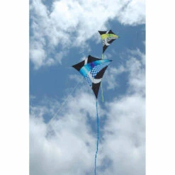Borealis Diamond Kite - Neon Tronic Gradient -Kite And Flag Shop 15302 2