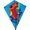 25 In. Diamond Kite - Poison Dart -Kite And Flag Shop 15492p poisondartfrog