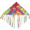 Fringe Delta Kite - Rainbow Orbit -Kite And Flag Shop 17106p RainbowOrbit FringeDelta
