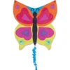 Fun Flyer Kite - Rainbow Butterfly -Kite And Flag Shop 17343p RainbowButterflyAnimal