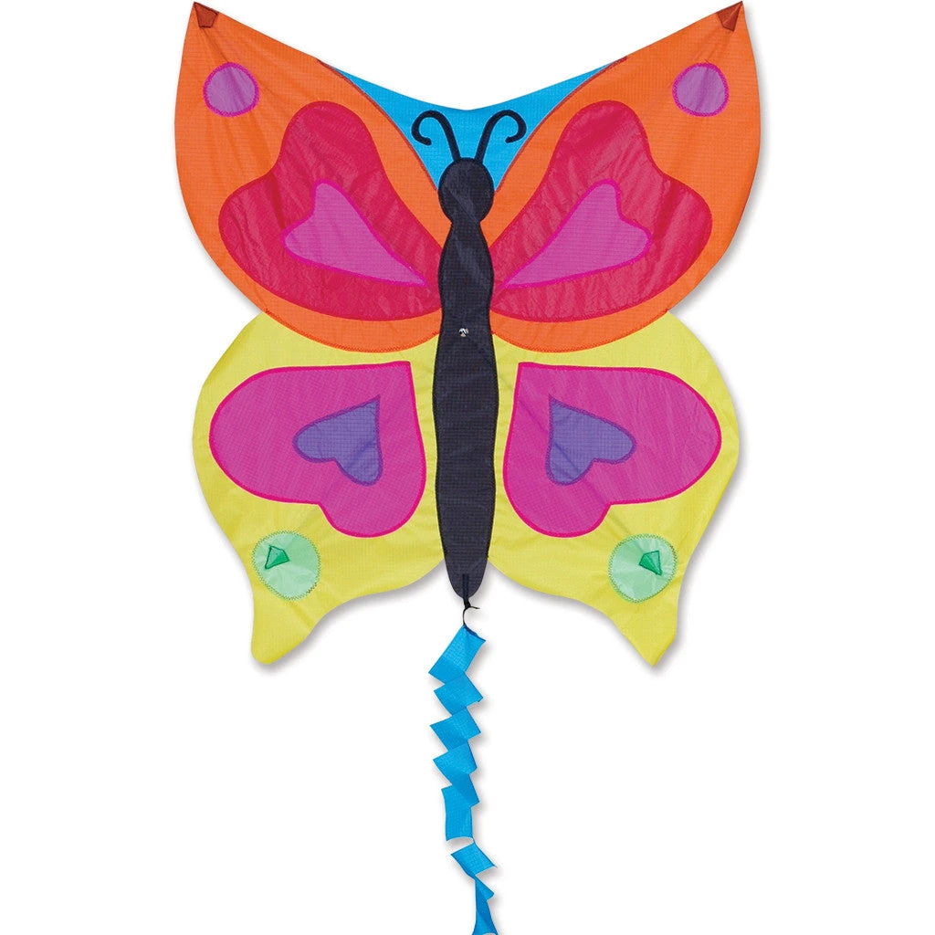 Fun Flyer Kite - Rainbow Butterfly 3 Fun Flyer Kite - Rainbow Butterfly