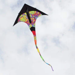 T-Delta Kite - Rainbow Orbit -Kite And Flag Shop 33064 1024