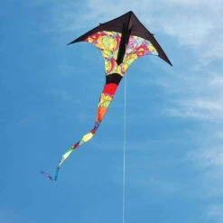T-Delta Kite - Rainbow Orbit -Kite And Flag Shop 33064 2