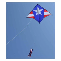 Gyro Delta Kite - Patriotic -Kite And Flag Shop 33091 2