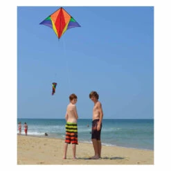 Gyro Delta Kite - Rainbow -Kite And Flag Shop 33094 2