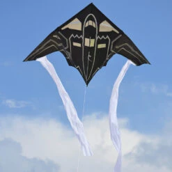 56 In. Delta Kite - Stealth Bomber -Kite And Flag Shop 33193 1024
