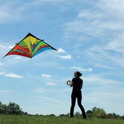 9 Ft. Delta Kite - Rainbow Orbit -Kite And Flag Shop 33201 2