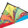 9 Ft. Delta Kite - Rainbow Orbit -Kite And Flag Shop 33201p RainbowOrbit zoom