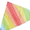 6.5 Ft. Delta Kite - Pattern Rainbow -Kite And Flag Shop 33325p PatternRainbow XDelta zoom