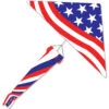 6.5 Ft. Delta Kite - Old Glory Pack -Kite And Flag Shop 33327g Patriotic 6ft Delta Package