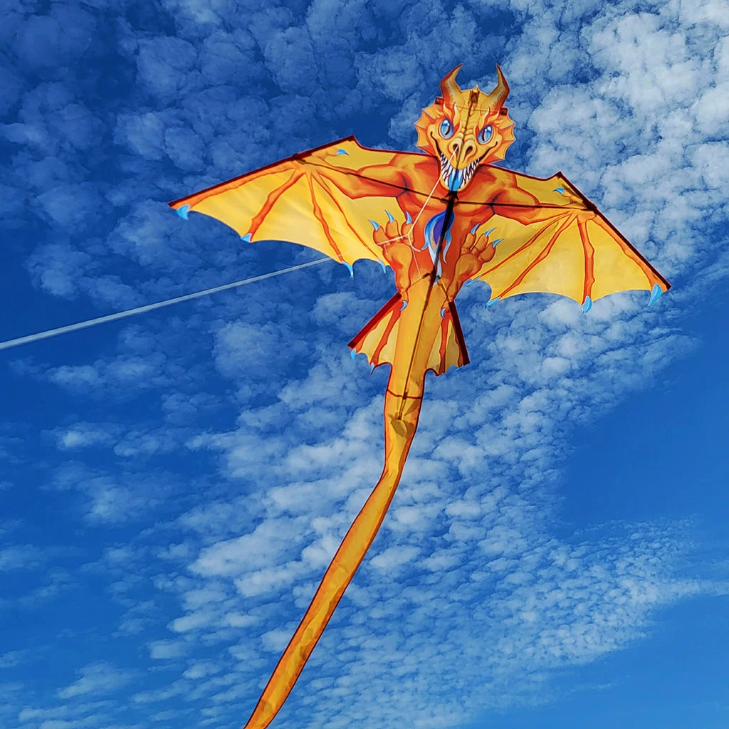 2D Dragon Kite - Flamewing 4 2D Dragon Kite - Flamewing - Image 2