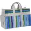 Canvas Tote Bag & Gloves - Cool -Kite And Flag Shop 58394p coolstripes bags