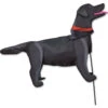 Windicator Weather Vane - Black Lab -Kite And Flag Shop 71016p BlackLab Windicator 1024