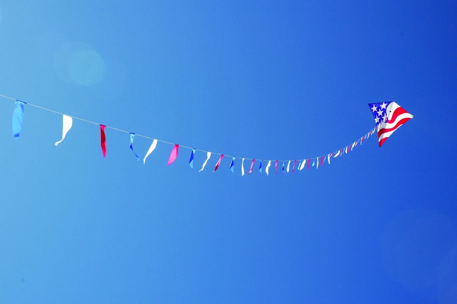 100 Ft. Flag Line - Patriotic 3 100 Ft. Flag Line - Patriotic