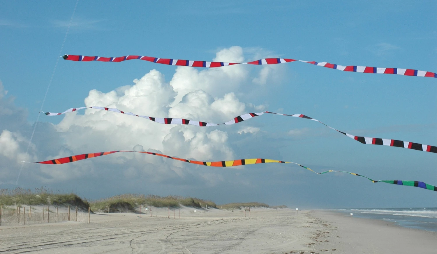 5 In. X 100 Ft. Transition Tail - Rainbow 3 5 In. X 100 Ft. Transition Tail - Rainbow