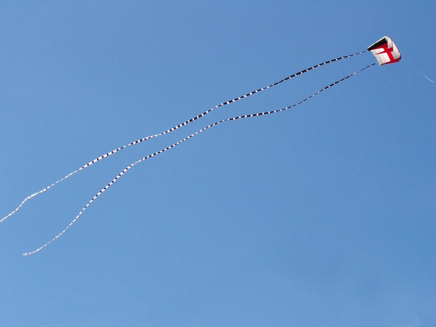 5 In. X 100 Ft. Transition Tail - Black/White 3 5 In. X 100 Ft. Transition Tail - Black/White