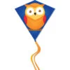 30 In. Diamond Kite - Owl (Bold Innovations) 1 30 In. Diamond Kite - Owl (Bold Innovations) -Kite And Flag Shop media 016dc1d9 57d4 4a22 9d82 b209b10eeaf9